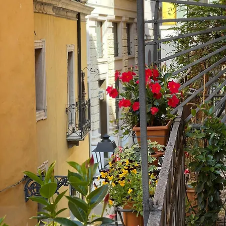 Flores Διαμέρισμα