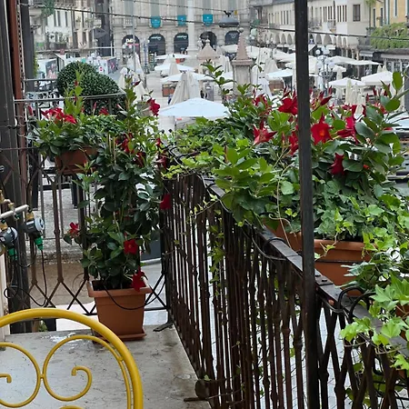 Flores * Verona